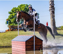 Load image into Gallery viewer, White Show Breeches V2 | hahaWHATEVER - hahaWHATEVER ™️