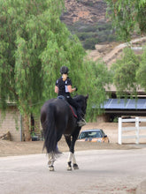 Load image into Gallery viewer, Athletic Shirt Short Sleeve Black with White Accent Cooling Vents - hahaWHATEVER ™️
