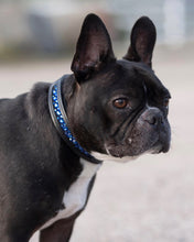 Load image into Gallery viewer, Dog Collar Padded Leather with Channel Set Crystals 3 Color Options - hahaWHATEVER ™️