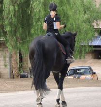 Load image into Gallery viewer, Athletic Shirt Short Sleeve Black with White Accent Cooling Vents - hahaWHATEVER ™️