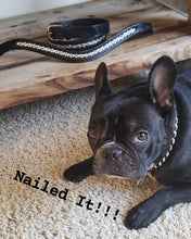 Load image into Gallery viewer, Dog Collar Padded Leather with Channel Set Crystals 3 Color Options - hahaWHATEVER ™️