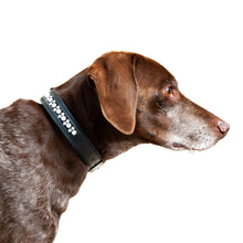 Load image into Gallery viewer, Dog Collar Padded Leather with Channel Set Crystals 3 Color Options - hahaWHATEVER ™️