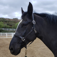 Load image into Gallery viewer, Horse Halter Leather Padded with Double Roll and Grooming Conversion - hahaWHATEVER ™️