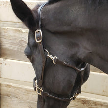 Load image into Gallery viewer, Horse Halter Leather Padded with Double Roll and Grooming Conversion - hahaWHATEVER ™️