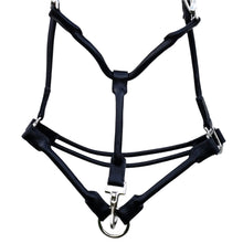 Load image into Gallery viewer, Horse Halter Leather Padded with Double Roll and Grooming Conversion - hahaWHATEVER ™️