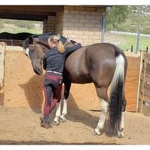 Load image into Gallery viewer, Breeches hhW Magic Burgundy and Black - hahaWHATEVER ™️