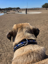 Load image into Gallery viewer, Dog Collar Padded Leather with Ombre Rose Gold and Navy - hahaWHATEVER ™️
