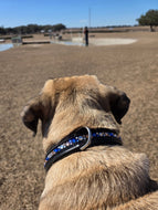 Dog Collar Padded Leather with Ombre Rose Gold and Navy - hahaWHATEVER ™️