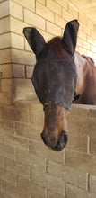 Load image into Gallery viewer, Lightweight Horse Fly Mask Comfort with Soft Mesh - Perfect Fit Over Bridle For Riding

