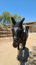 Load image into Gallery viewer, Horse Lightweight Fly Mask
