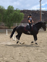 Load image into Gallery viewer, Keeping it Cool - hhW Magic Short Sleeve Equestrian Shirt
