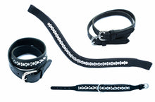Load image into Gallery viewer, Matching Crystal Brow Band, Spur Straps, Belt and Dog Collar! Brow Band Leather Padded Stellux Crystal Channel Set. hhW designed Equestrian Elegance available in Black or Dark Brown Leather with Stellux Crystals Channel Set for Durability. Dare to show your Inner Diva with this amazing and comfortable brow band! Perfect for Dressage, Hunter/Jumper and even casual riding! Matchy Matchy Belt, Dog Collar and Cat Collar options!
