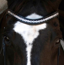 Load image into Gallery viewer, Brow Band Leather Padded Stellux Crystal Channel Set.  hhW designed Equestrian Elegance available in Black or Dark Brown Leather with Stellux Crystals Channel Set for Durability.  Dare to show your Inner Diva with this amazing and comfortable brow band!  Perfect for Dressage, Hunter/Jumper and even casual riding! Matchy Matchy Belt, Dog Collar and Cat Collar options!
