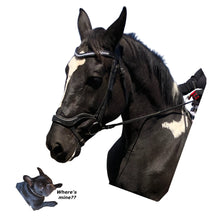 Load image into Gallery viewer, Brow Band Leather Padded Stellux Crystal Channel Set. hhW designed Equestrian Elegance available in Black or Dark Brown Leather with Stellux Crystals Channel Set for Durability. Dare to show your Inner Diva with this amazing and comfortable brow band! Perfect for Dressage, Hunter/Jumper and even casual riding! Matchy Matchy Belt, Dog Collar and Cat Collar options!
