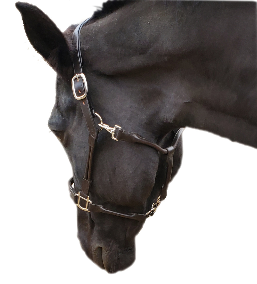 Leather Padded Horse Halter with Double Roll and Grooming Conversion