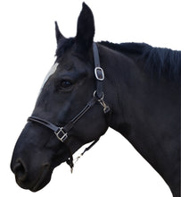 Load image into Gallery viewer, Leather Padded Horse Halter with Double Roll and Grooming Conversion
